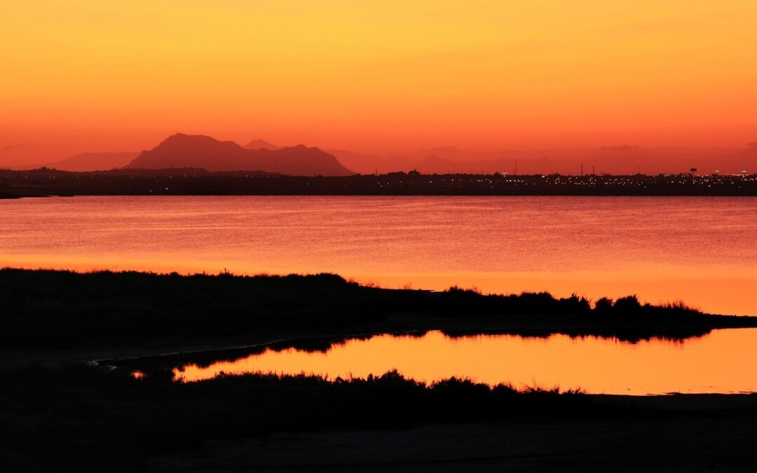 Torrevieja und Umgebung – Welche Regionen eignen sich besonders für den Immobilienkauf?